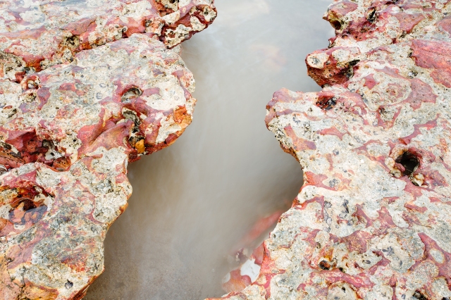 Close up of some (more) of our interesting rock formations in Nightcliff!